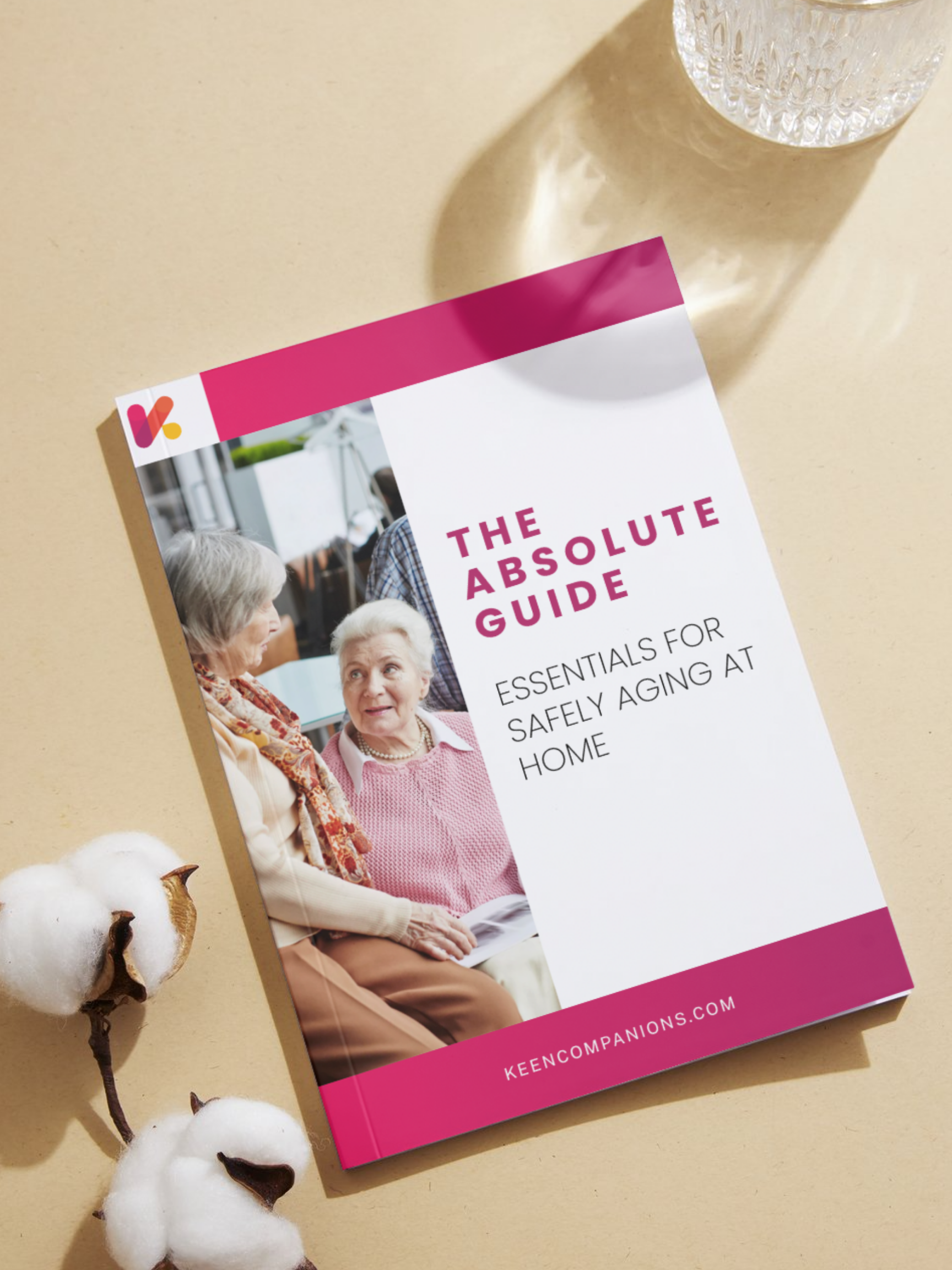 The Absolute Guide - Essentials for Safely Aging at Home